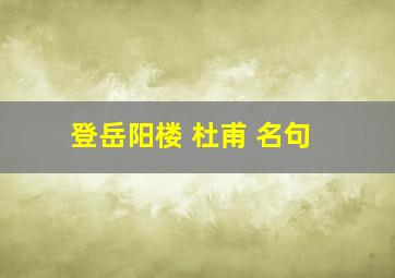 登岳阳楼 杜甫 名句